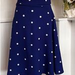 LuLaRoe Blue & White Polka Dot Skirt Photo 0