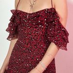 House Of CB Mistress Rocks leopard ruffle dress size small mob wife Photo 0