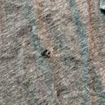 Victoria's Secret Victoria Secret Cotton Long Scoop-neck Light Weight Sleep-shirt Photo 3