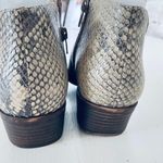 Lucky Brand boots snakeskin size 7M Photo 7