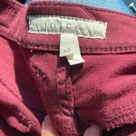 Joie  Park Low / Mid Rise Skinny Crop Ankle Zip Utility Pant in Burgundy Photo 2