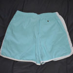 Nike Light Blue  Running Shorts Photo 3