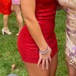 Windsor Dress Photo 2