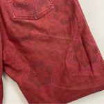 Anthropologie Pilcro Pants Distressed Patchwork Pockets India Ethnic Boho Red Photo 12