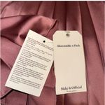 Abercrombie & Fitch  Pleated Giselle Mini Dress NWT size small blush pink mauve rose Photo 7