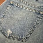 AGOLDE  Parker Long Short in the "Skywave" Wash Size 30 Photo 6
