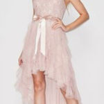 Teeze Me  Metallic Lace Glitter Mesh High Low
Dress in Blush, Sz 1/2 Photo 0