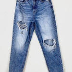 American Eagle Vintage Wash High Rise Curvy Mom Jeans Photo 0