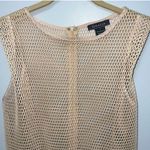 Gracia  Mesh Peplum Top Photo 4