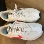 Nike  Pegasus Photo 1