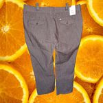 NWT Lee Platinum‎ Label Dark Chocolate Dress Pants Size 18S Brown Photo 7