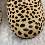 Sole Society  Mimi Chelsea Ankle Boots In Cheetah Dot Black Size 8.5 Photo 7