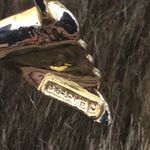 Vintage Gerrys gold butterfly stone accent brooch Photo 1