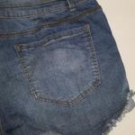 Hippie Laundry Distressed  High Rise Shorts Photo 8