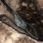 Arizona AZ. Susie Truffle Boots BRAND NEW!!! Photo 2