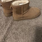 UGG  Mini Boots Photo 4