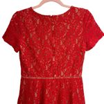 Oasis  Red Lace Dress Photo 7
