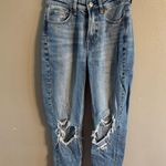 American Eagle Stigrid Mom Jean Photo 0