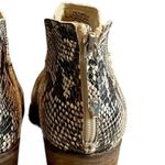 Dolce Vita Women’s Bootie Karsen Back Zip Faux Snakeskin Pointed Toe Size 8M Gray Photo 9