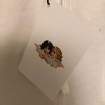 Fiorucci  logo-print drawstring shorts New Medium Photo 2