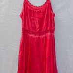 Black Swan Pink Sleeveless Lace Trim Dainty Mini Slip Dress size XS Photo 5