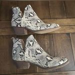 CL by Laundry  8 Photo 3