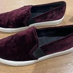 Vince Blair Velvet Slip-On Sneakers Merlot Photo 0