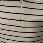 Calvin Klein | White & Black Striped Midi Career Work Office Midi Dress Size 6 Photo 4