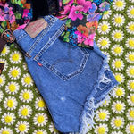 Levi's Vintage Jean Shorts Photo 0