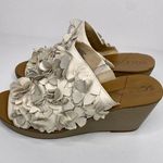 Sole Society  Sandals Size 9M Women's So Poppy Leather Slip On Wedge Beige Floral Photo 0