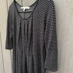 Max Studio  Polka Dot‎ Dress Photo 2