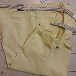 Gloria Vanderbilt Skimmer Shorts 24W w/braided belt Slimming Stretch Photo 0