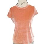 Madewell  Womens Velvet Top Soft Short Sleeve Crewneck Size Small Holiday Party Photo 0
