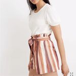 Madewell  Belted Paperbag Shorts in Luna Stripe Dark Cabernet Photo 7