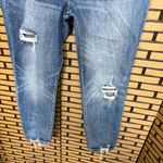 Willow‎ + Root Everyday Jeans Size 34 Blue Photo 3