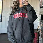 Champion Albright College  Hoodie Photo 0