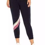Wildfox Sport Atmosphere Jogger Sweatpants Photo 6