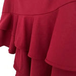 Finders Keepers  Bosnia Raisin Asymmetrical Ruffle Mini Skirt Photo 5