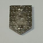 Disneyland VIP Tour Pin 100th Anniversary Limited Release Photo 1