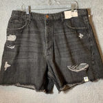 Arizona Jeans Arizona Jean Shorts Womens Juniors Size 21 Black Distressed Hi-Rise Raw Hem NWT Photo 0