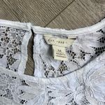 Est. 1946 C  Women’s Lace Short Sleeve Peplum Top Medium Photo 4