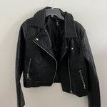 Forever 21 Leather Jacket Photo 0