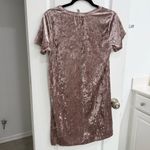Acting Pro Velvet Short Sleeve Dress in Pink Large Photo 1