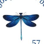 Vibrant Mountain Print Teardrop Earrings Green Photo 5