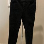 Ashley Stewart Ashley animal print black straight legs high rise Photo 0