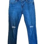 CAbi #5495 Size 4 Blue Cropped High Straight Raw Hem Distressed Denim Jeans Photo 0