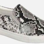 Soda  Snakeskin Shoes  Photo 0