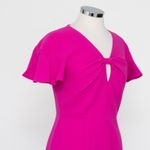 Black Halo . Abanna Sheath Dress. Photo 12