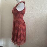 Francesca’s Collections Rust Floral Lace Fit and Flare Dress NWT XS Autumn Fall Photo 3