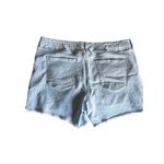 A.N.A Brand, Color Light Blue Jeans, Size 20 W, High Rise Shorts Photo 1